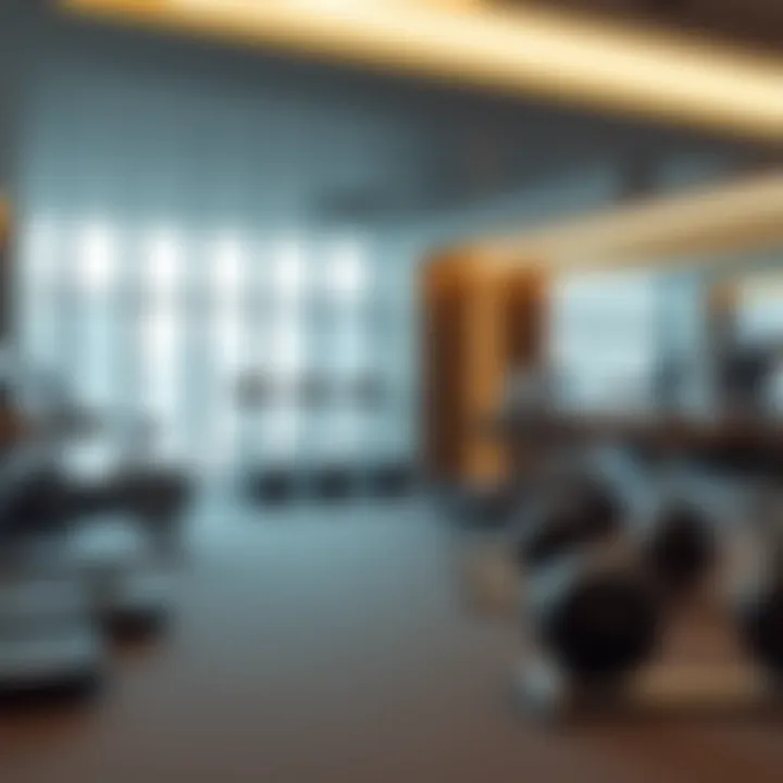 Premium Fitness Facilities at Al Nawras Fitness center in Al Nawras Hotel Apartments
