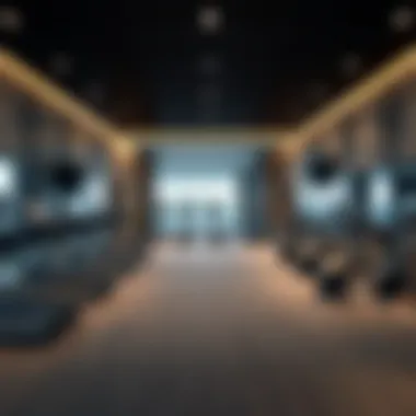 Modern fitness center in Al Shafar Tower designed for elite residents.