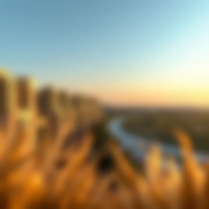 Serene landscapes surrounding Ansam Phase 2