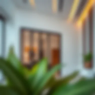 Modern Design of Closed Partition in Business Bay Elegant closed partition showcasing modern design