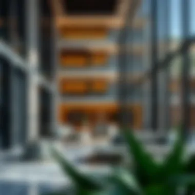 Exploring Rare Renovations in Dubai: A Comprehensive Overview Summary