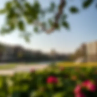 Serene Community Park Tranquil community park in Northside Dubai