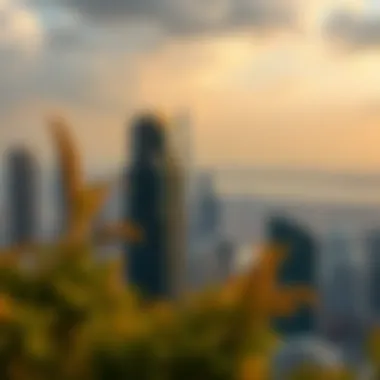 Breathtaking Skyline View Stunning skyline view from Northside Dubai