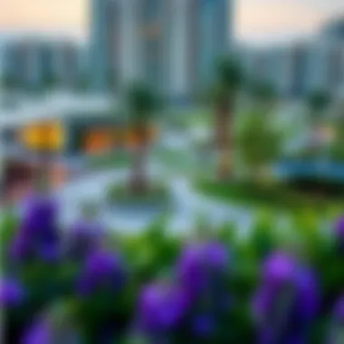 Community amenities at Views 1 including parks and recreational areas