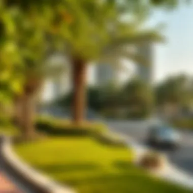 Serene park in Warsan Four offering a lush escape from urban life