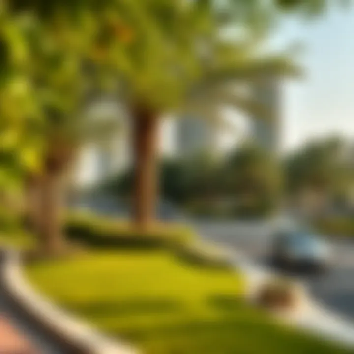 Serene park in Warsan Four offering a lush escape from urban life