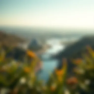 Nature's Embrace around the Jewel of the Creek Panoramic landscape showcasing the natural beauty surrounding the creek