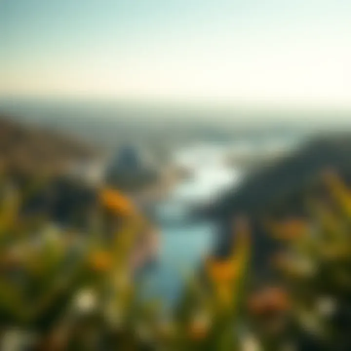 Nature's Embrace around the Jewel of the Creek Panoramic landscape showcasing the natural beauty surrounding the creek