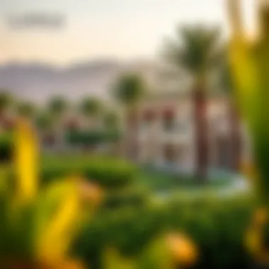 Lush landscape and serene community vibe of Laamaa Madinat Jumeirah