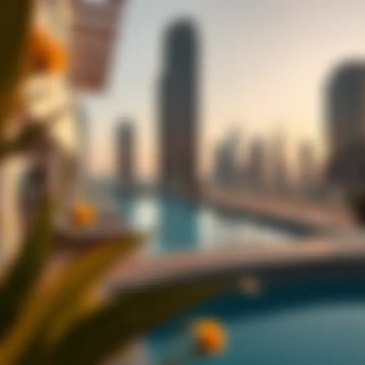 Exclusive amenities at Mizin Tower including a rooftop pool