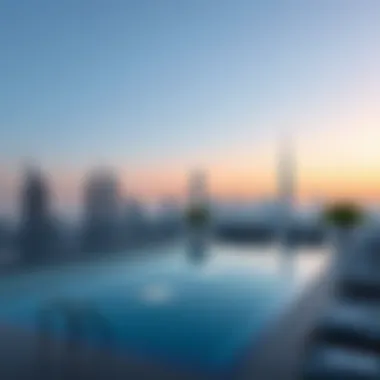 Exquisite rooftop pool with skyline views