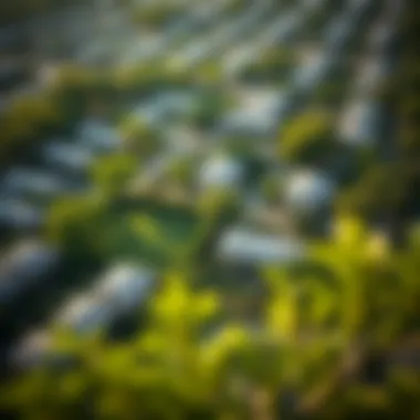 An aerial view of residential area surrounded by greenery