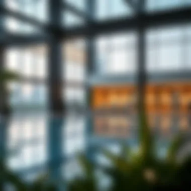 Exclusive Amenities of The Residence Amenities showcase including pool and fitness center