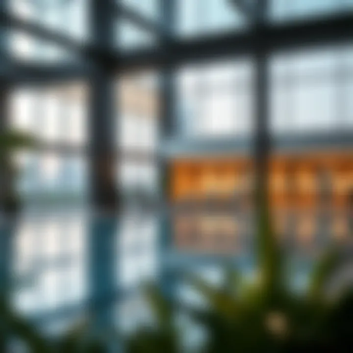 Exclusive Amenities of The Residence Amenities showcase including pool and fitness center