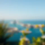 A panoramic view of Palm Jumeirah showcasing its stunning coastline and luxury resorts under a clear blue sky.