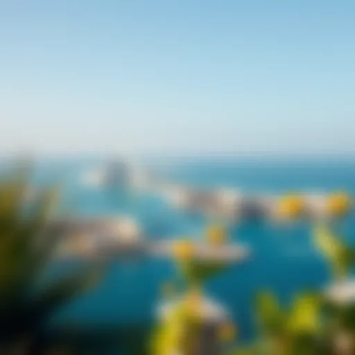 A panoramic view of Palm Jumeirah showcasing its stunning coastline and luxury resorts under a clear blue sky.