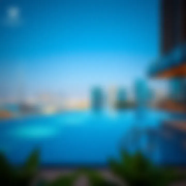 Infinity Pool Overlooking the Dubai Skyline Luxurious swimming pool with skyline view at Vida Residence