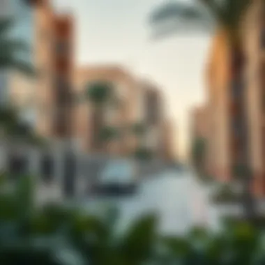 Serene surrounding neighborhood of Wasl Zabeel